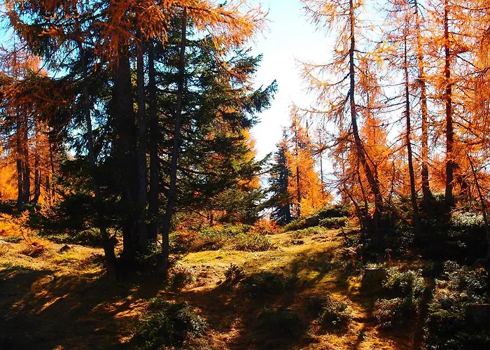 Thomahofhuette شقة *